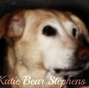 Meet your Posher, Pam